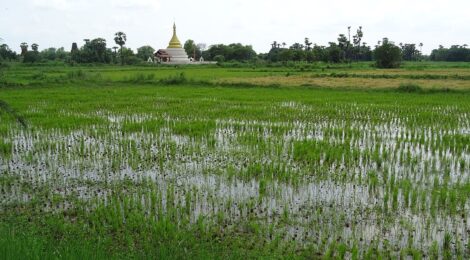 Rassegna settimanale 15-21 marzo 2021: Sudest Asiatico